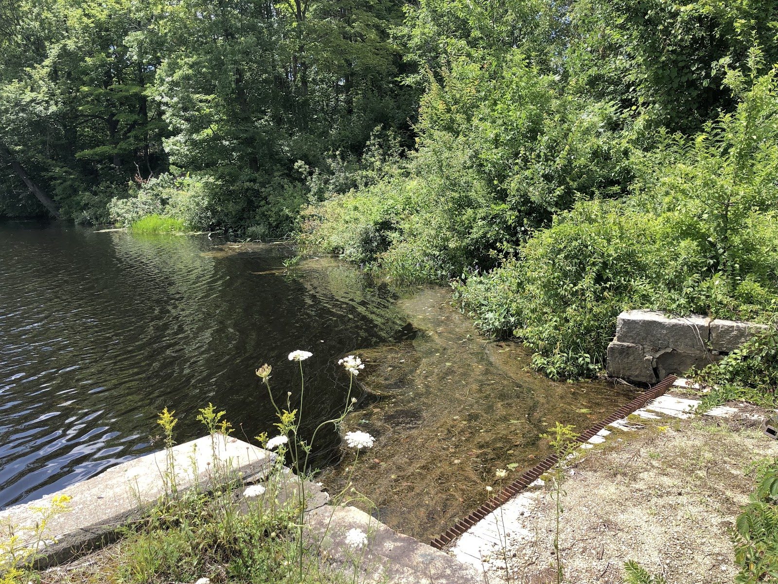The channel below the dam.