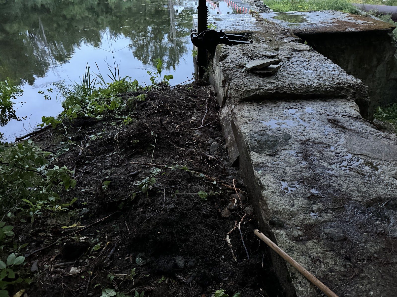 The exposed pond bottom near the dam.