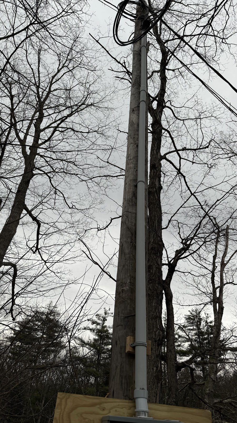 The service pole.